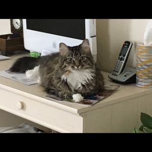 Meet your Posher, Barbara